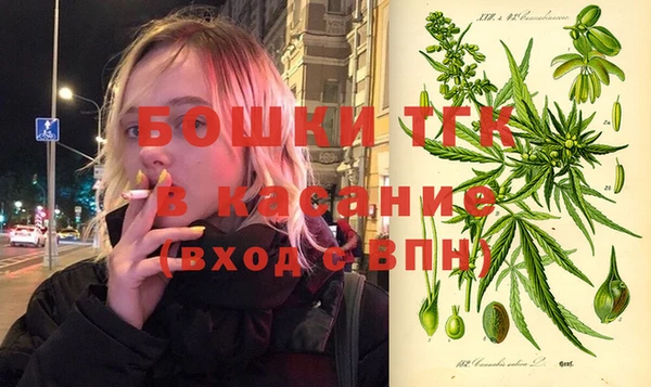 PSILOCYBIN Балабаново