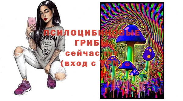 PSILOCYBIN Балабаново