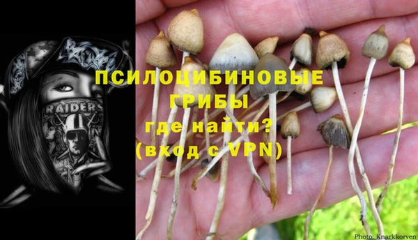 ПСИЛОЦИБИНОВЫЕ ГРИБЫ Баксан