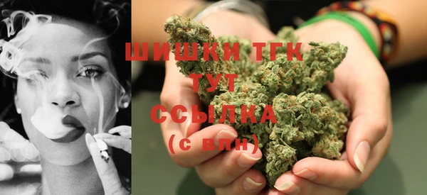 ПСИЛОЦИБИНОВЫЕ ГРИБЫ Баксан