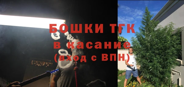 PSILOCYBIN Армянск