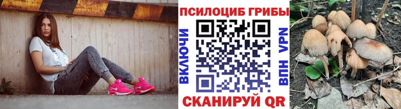Галлюциногенные грибы Psilocybe  Ульяновск 